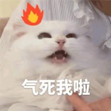92fc8655615eac023321124e4ea82051.gif